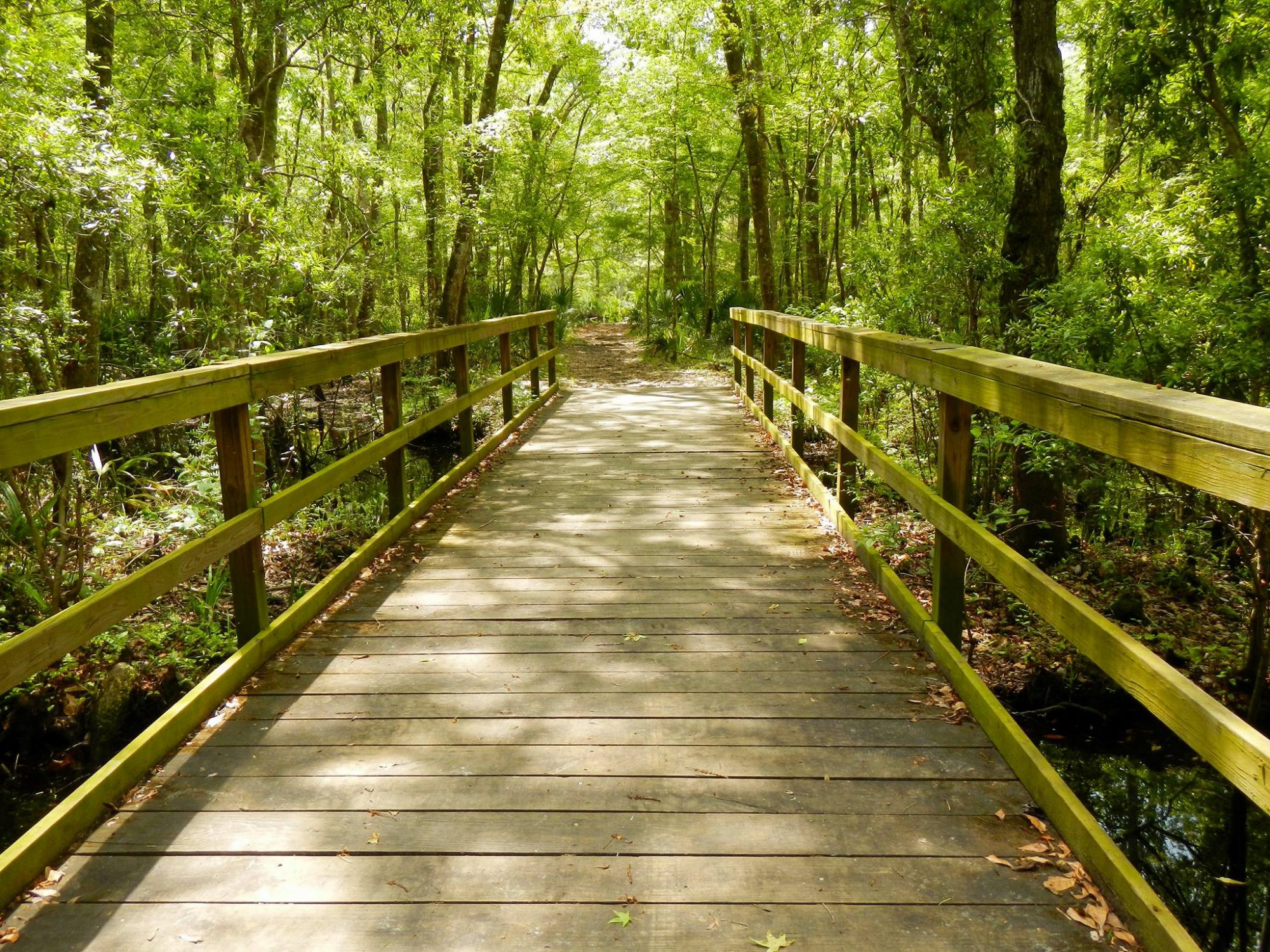 Rally To Stop The Destruction Of Conservation Land In St. Johns County