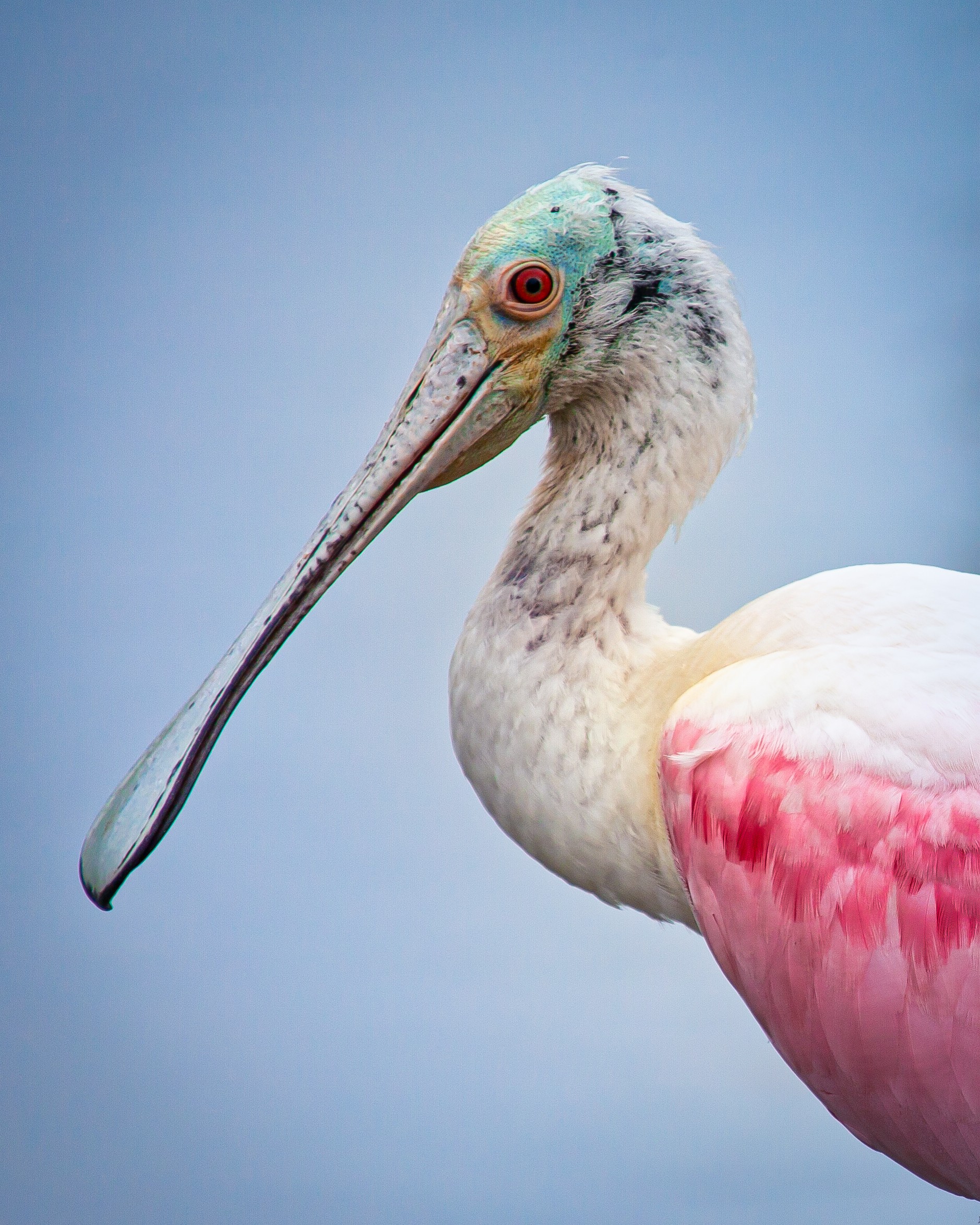 FWF inars • Florida Wildlife Federation