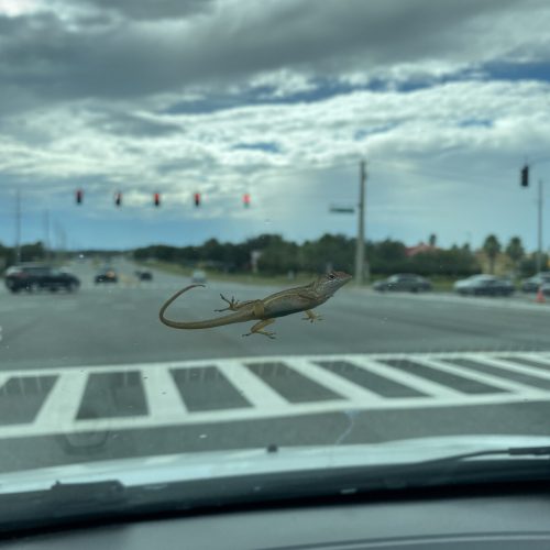 To Walmart, please.