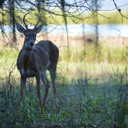 You Looking at Me?