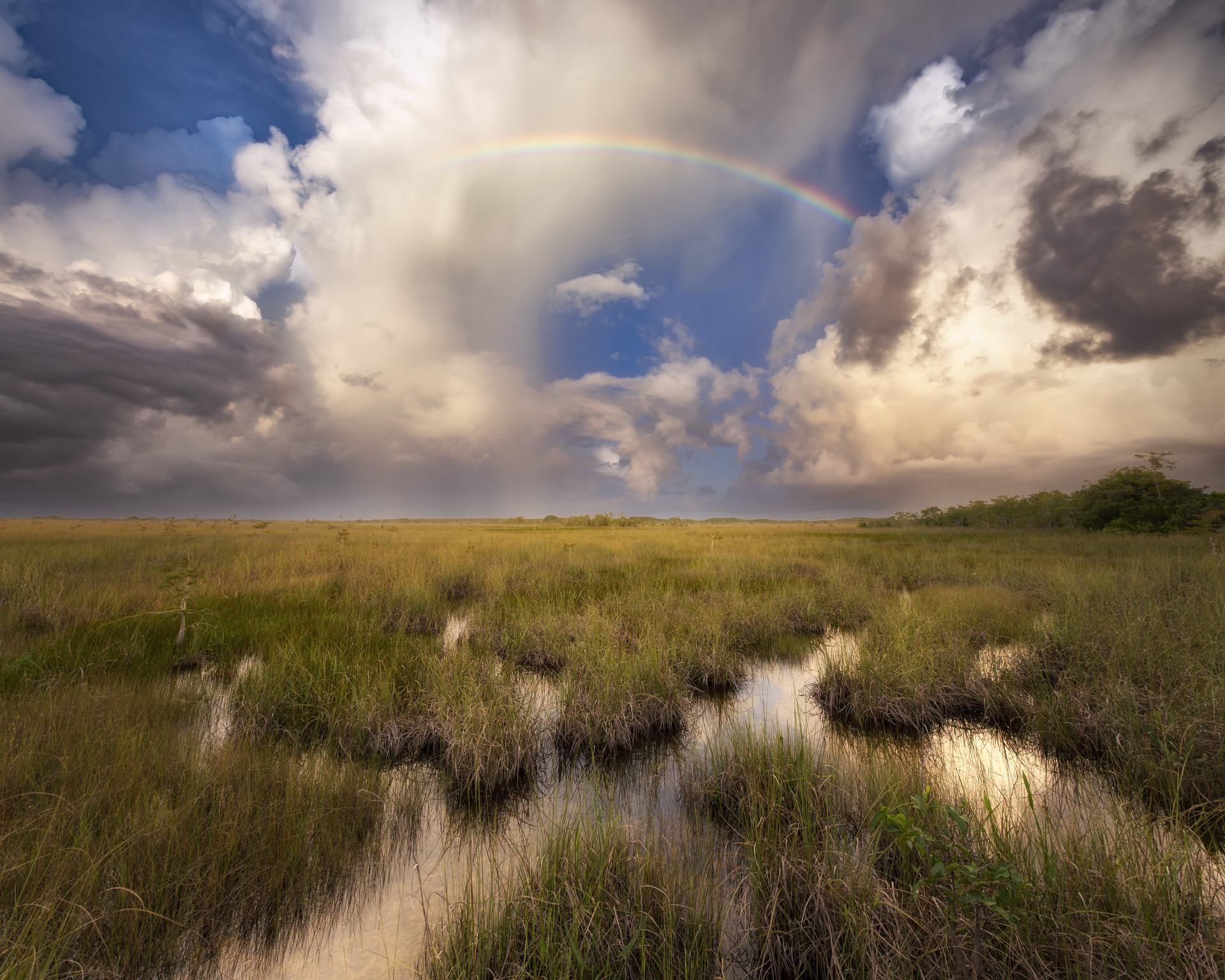 "River of Grass" - Luis Forte