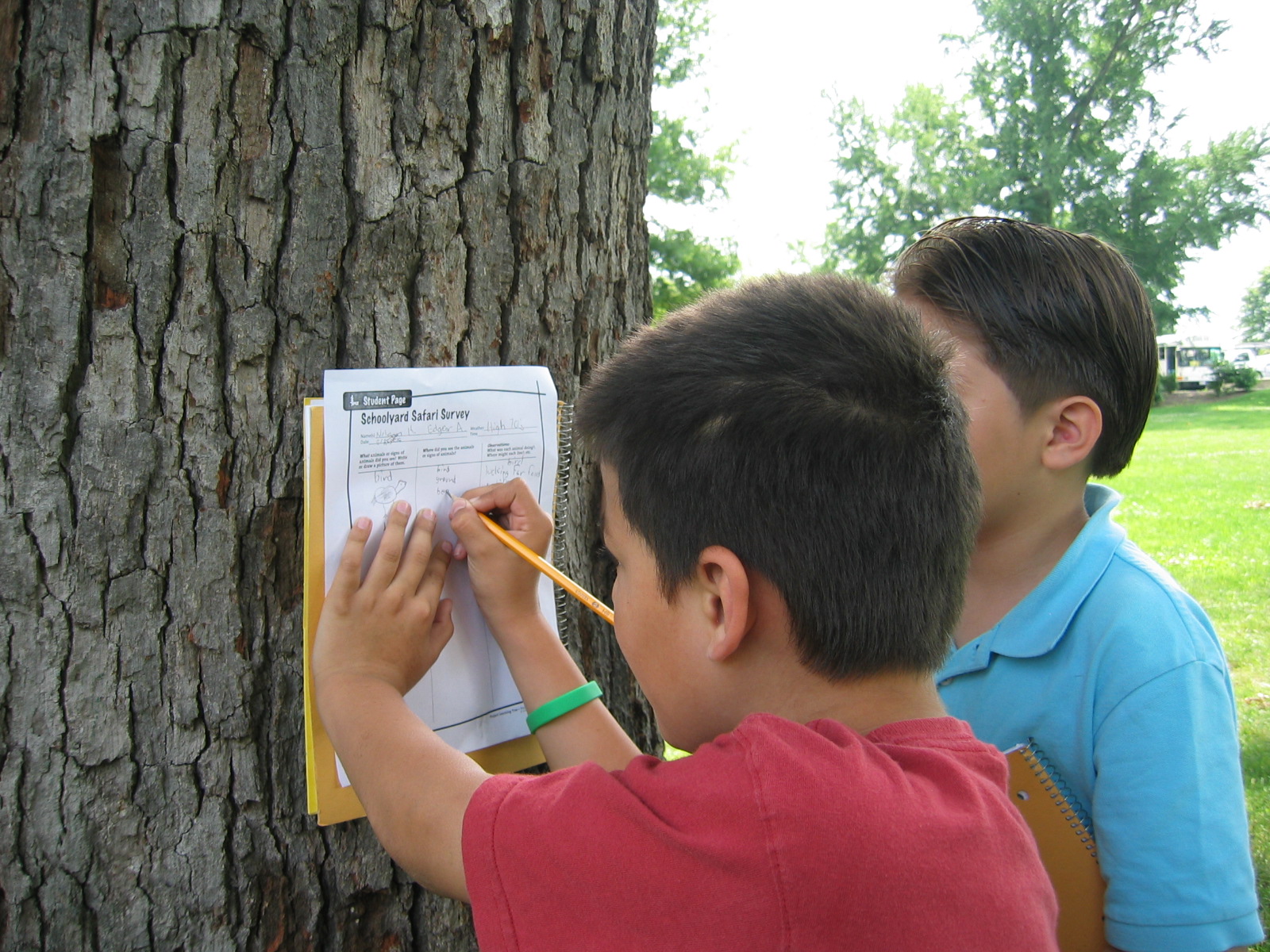 School Yard Safari, Project Learning Tree