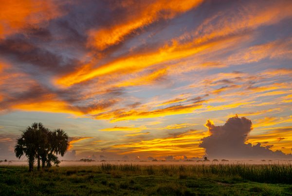 Sunrise at Blue Cypress Road, Indian River County, Fla. Photo Credit: Matt Erpenbeck.