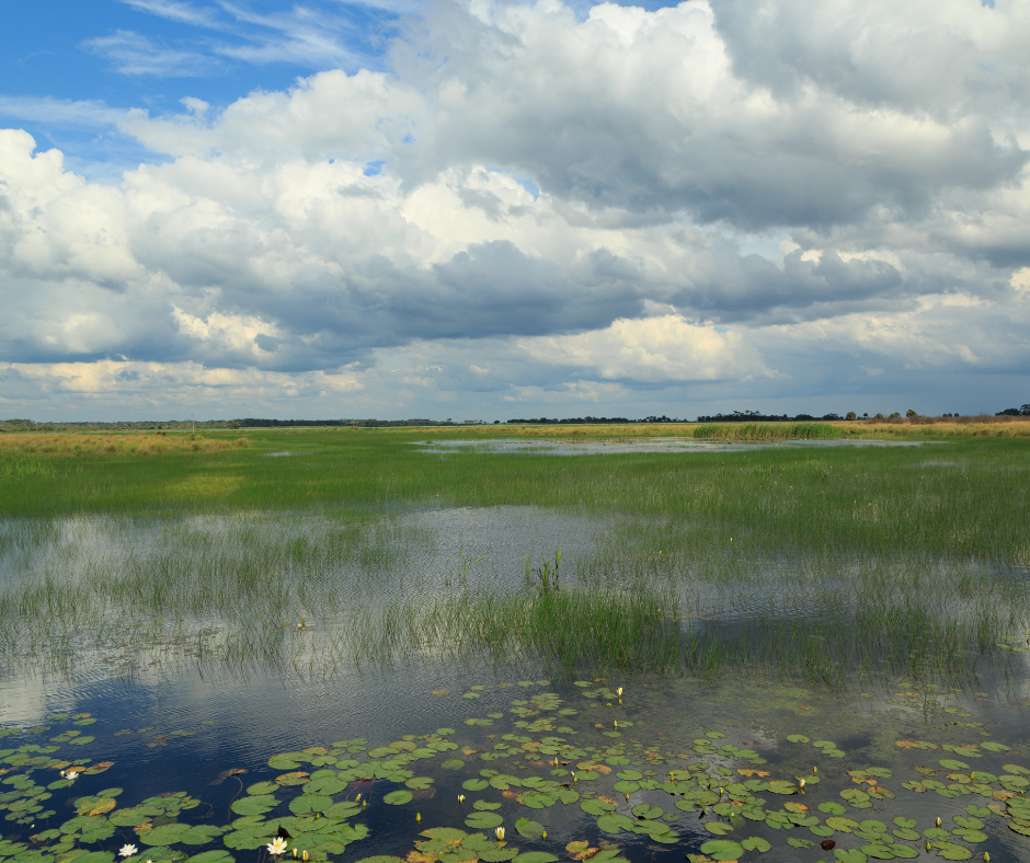 Celebrating National Wildlife Refuge Week