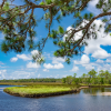 Coastal Salt Marsh in Steinhatchee, FL
