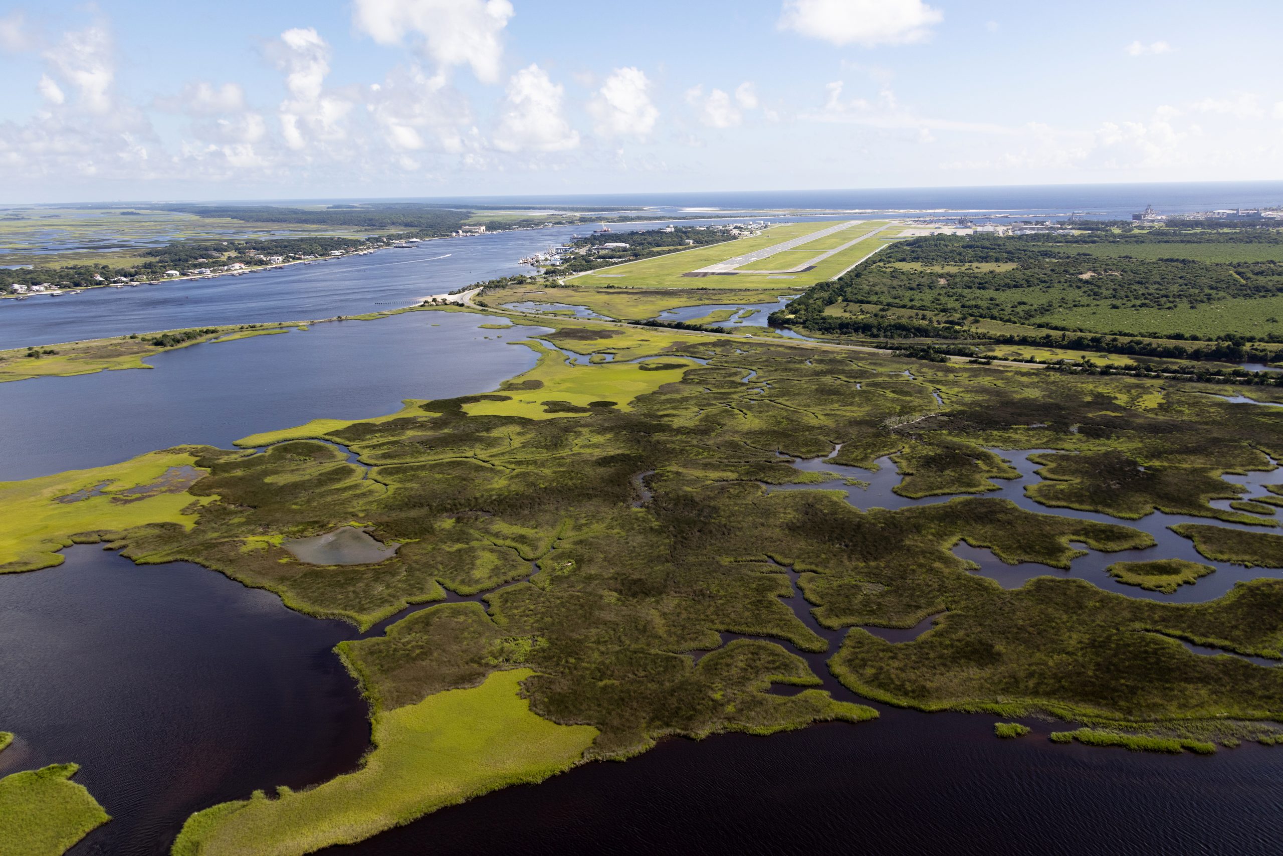 Plan Unveiled to Protect Future of 1 Million Acres of Salt Marsh Along U.S. South Atlantic Coast