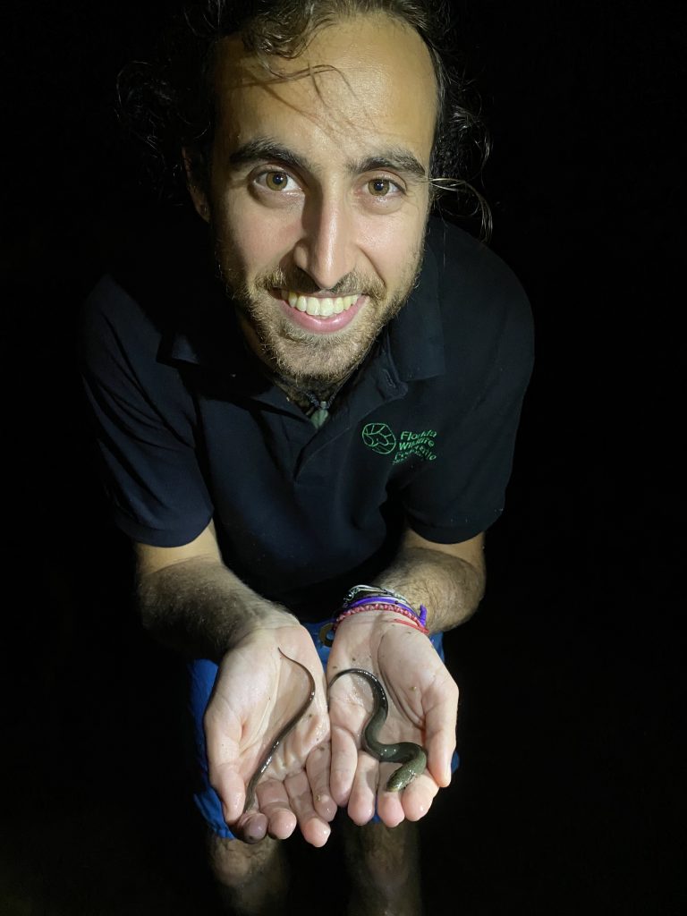 Outreach Coordinator Tasman Rosenfeld is holding an Everglades dwarf siren (Pseudobranchus axanthus belli), which is found nowhere else in the world but the Florida Everglades!