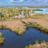 Wetlands at Ozello Keys near Crystal River.