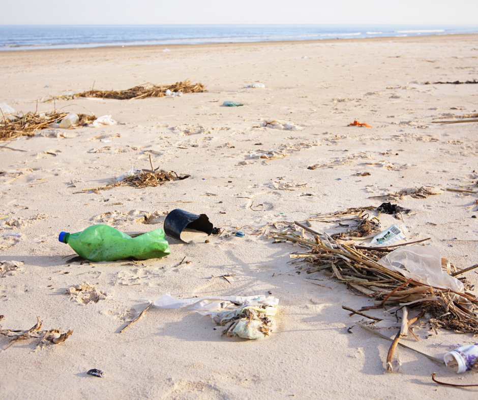 Plastic waste washed ashore.