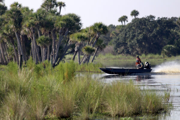 A Day on the St. Johns River