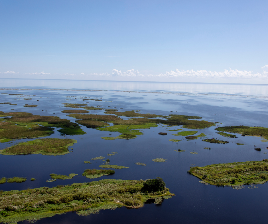Aerial photograph of Lake Okeechobee