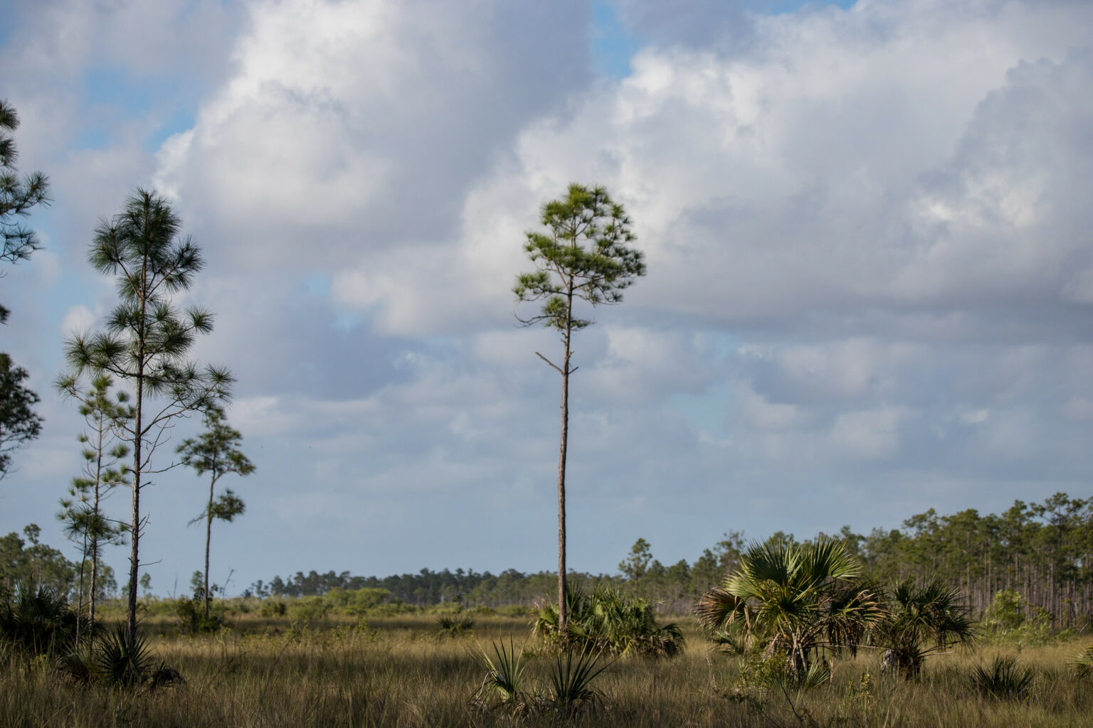 Amendment 1 at a Crossroads