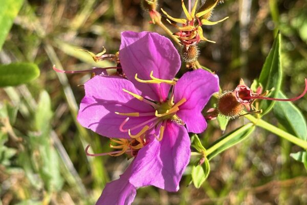 IMG_4858