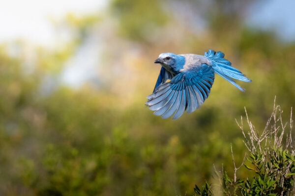 Photo by Marcos Rodriguez