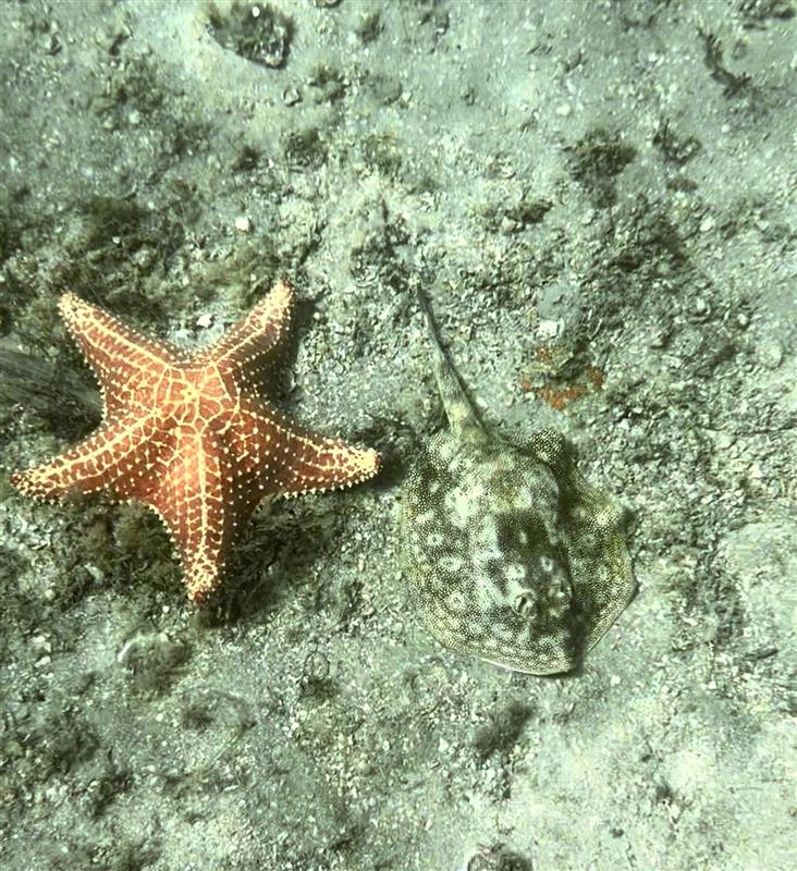 Get Outside with FWF: Phil Foster Park Snorkel Trail