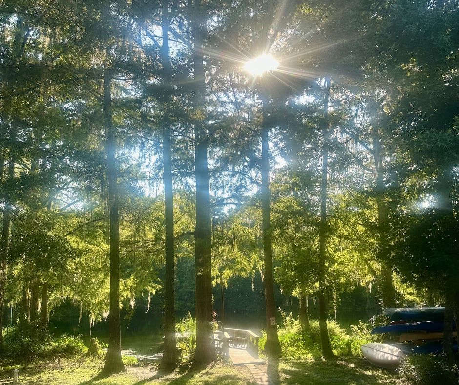 Get Outside with FWF: Staff Retreat on Rainbow River