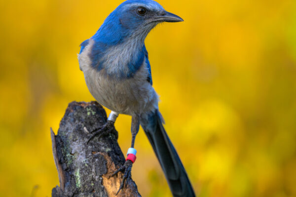 Phoo by Michael Dreese