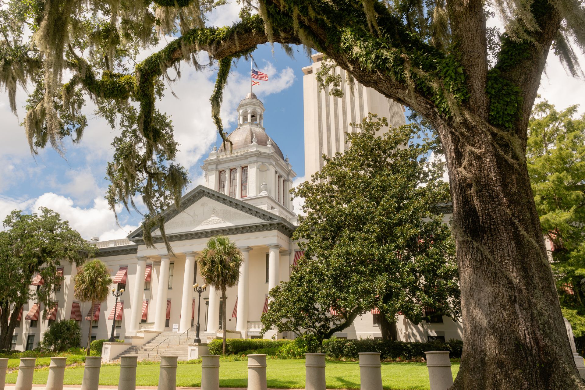 Florida Wildlife Federation’s 2026 Legislative Priorities