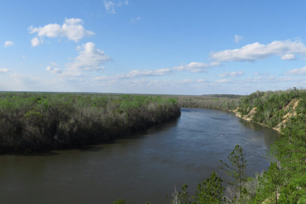 Photo by Chris M. Morris