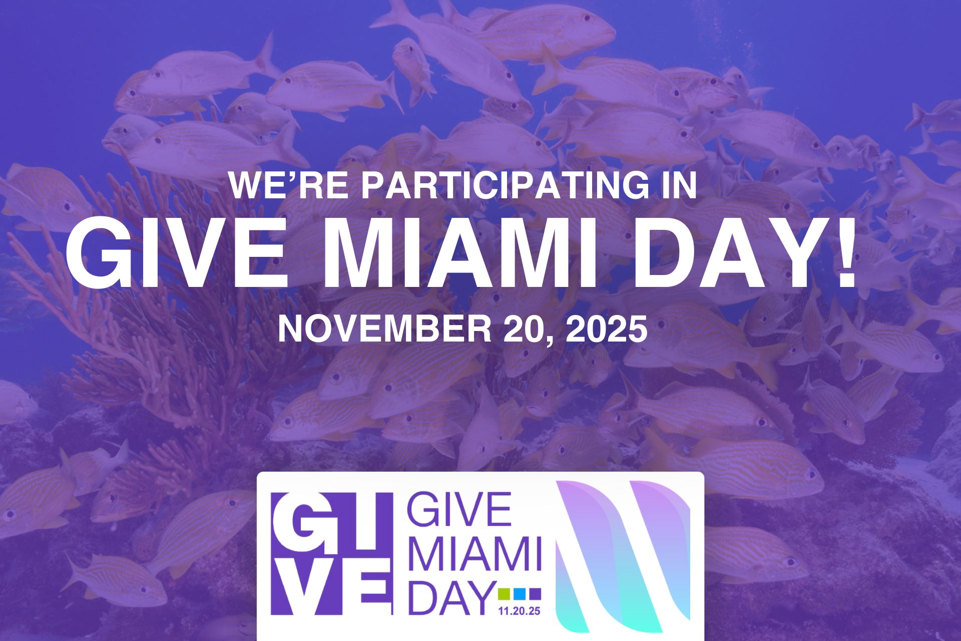 Protect Florida’s Waterways and Wildlife this Give Miami Day