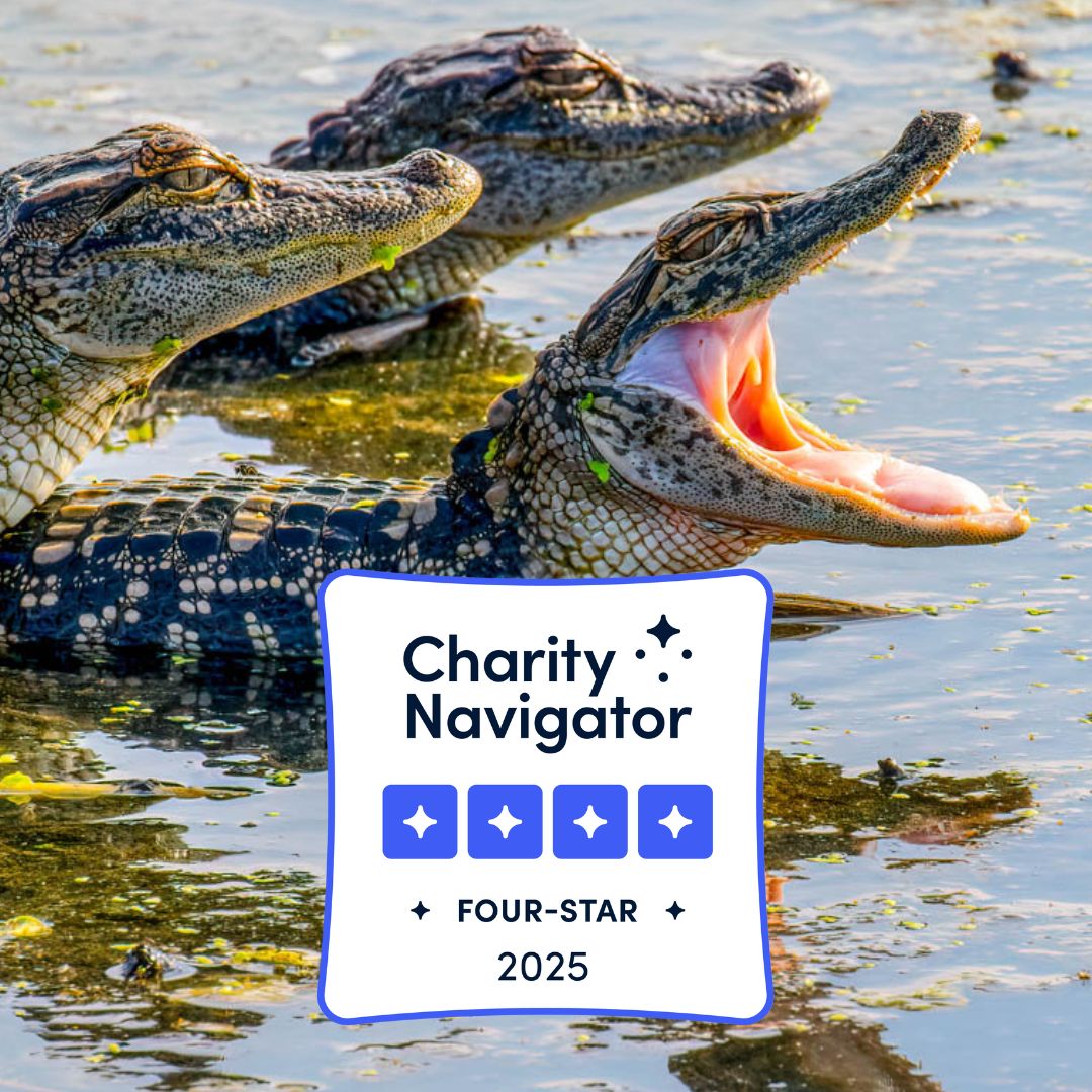 FWF Earns a Four-Star Rating from Charity Navigator